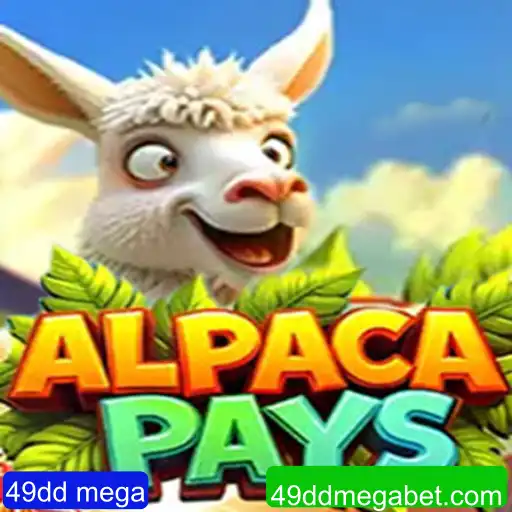 Descubra o Fascinante Mundo de AlpacaPays
